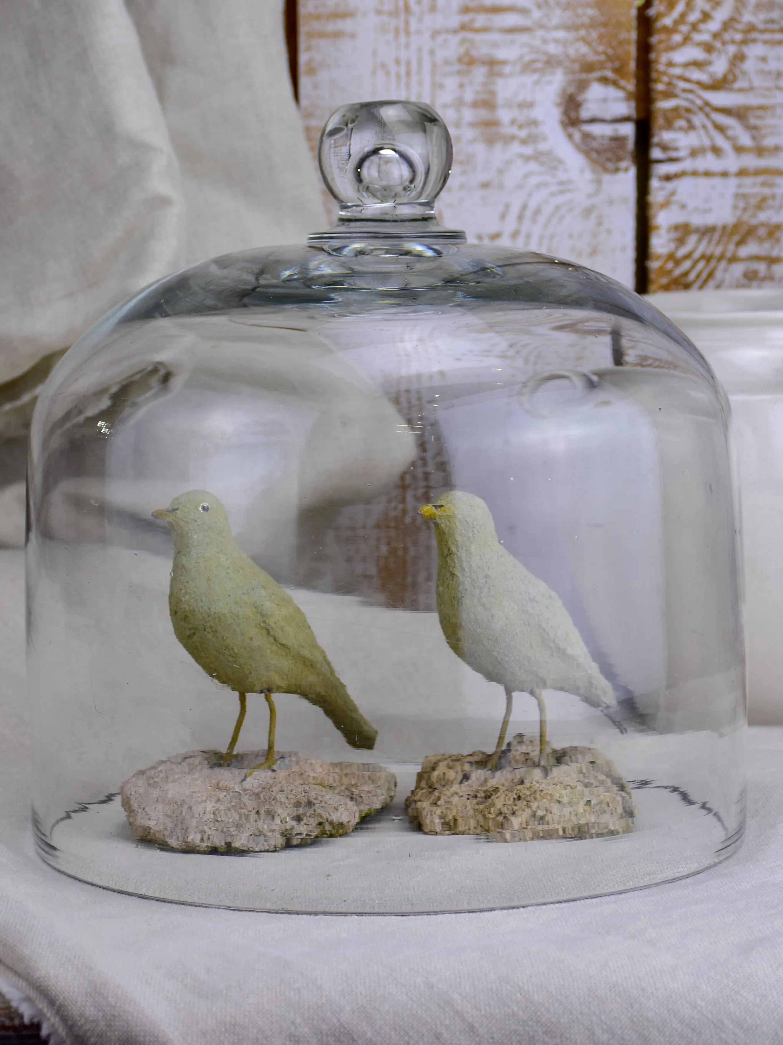 Antique French glass cloche (bell) dome