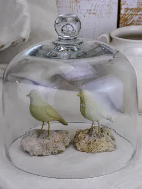 Antique French glass cloche (bell) dome