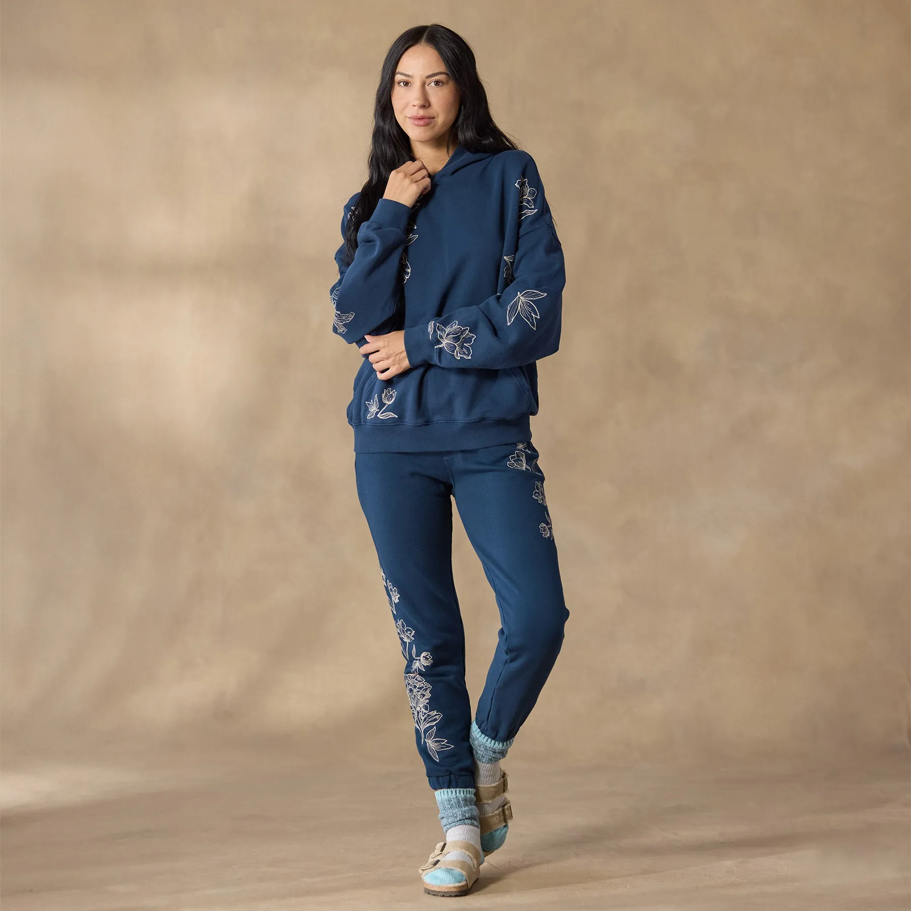 Ice Falls Hoodie