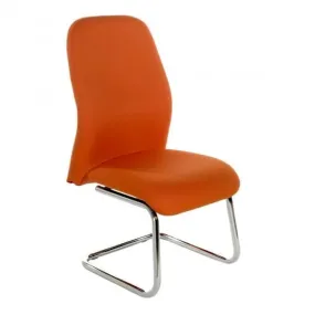Puma Cantilever Chair