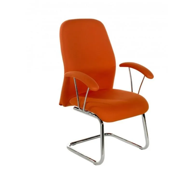 Puma Cantilever Chair